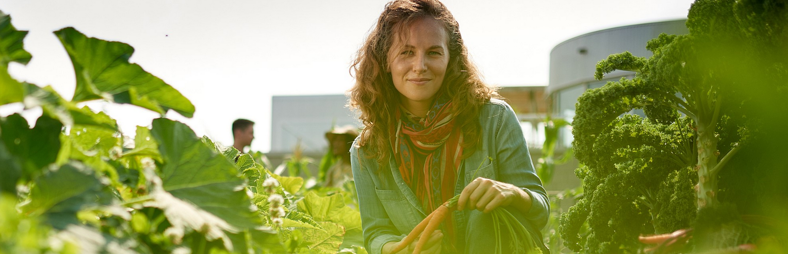 Eine Person steht inmitten eines Gemüsegartens und hält frisch geerntete Karotten.